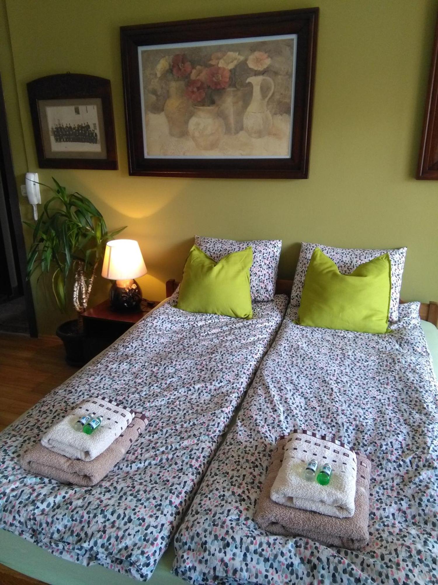 Jovanovic Guest House Ohrid Bagian luar foto